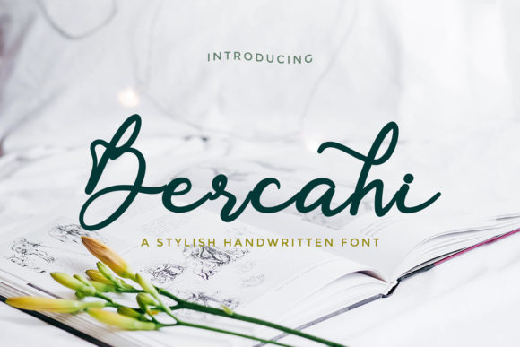 Bercahi: The Script Font for Scroll-Stopping Visuals