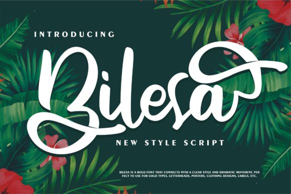 Bilesa: A Playful Script Font for Editorial Charm