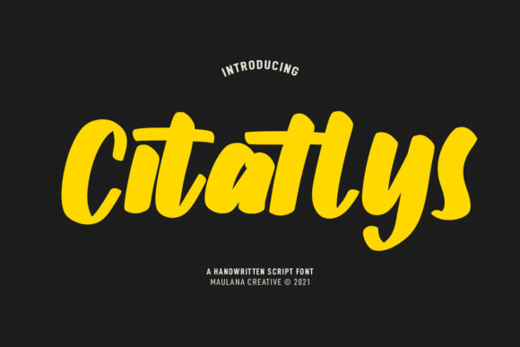 Citatlys: A Designer’s Honest Review
