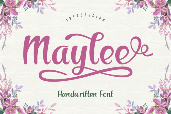 Maylee: A Script Font for Editorial Warmth