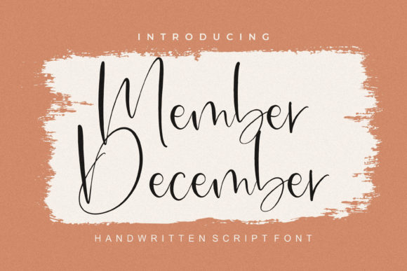 Member December: A Delicate Script Font for Web Design