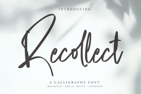 Recollect: A Thin Script Font for Modern Web Design