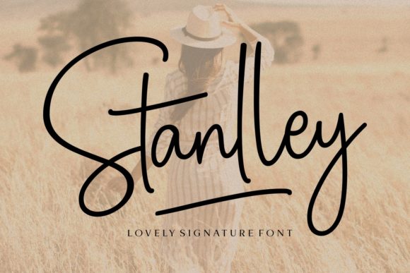 Stanlley: A Delicate Script Font for Modern Web Design