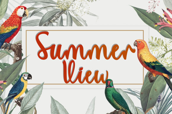 Summer View: A Refined Script Font for Editorial Design