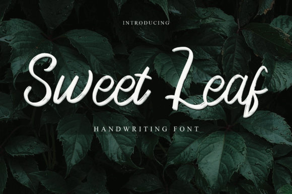 Sweet Leaf: A Script Font for Modern Web Design
